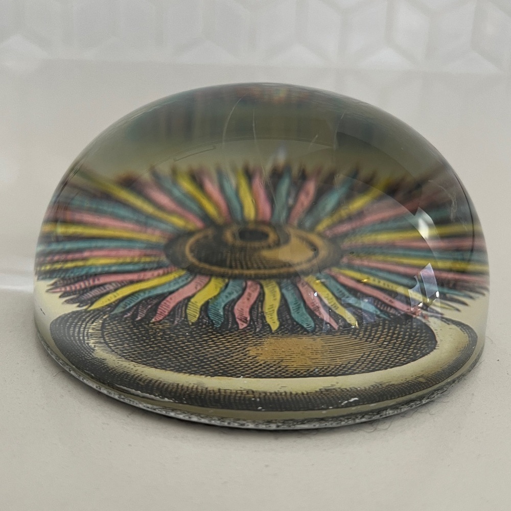 JOHN DERIAN Glass Dome Paperweight Decoupage Sea Anemone Decor Handmade - Picture 4 of 16